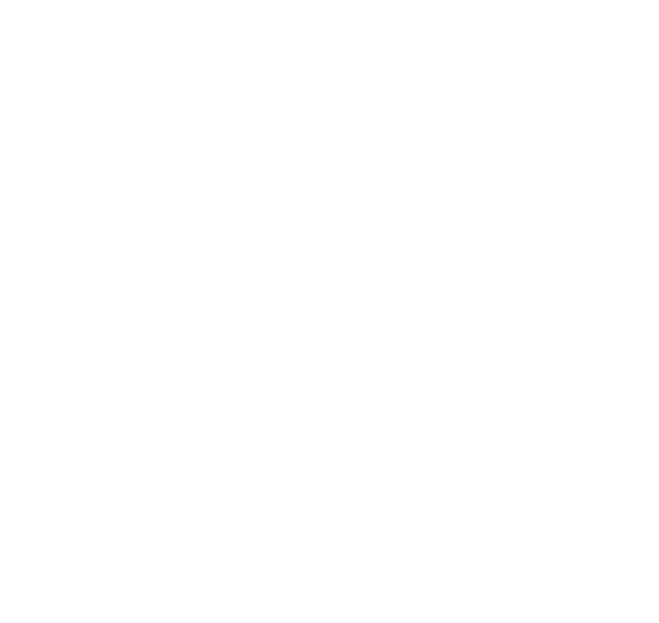 small satelink logo all white